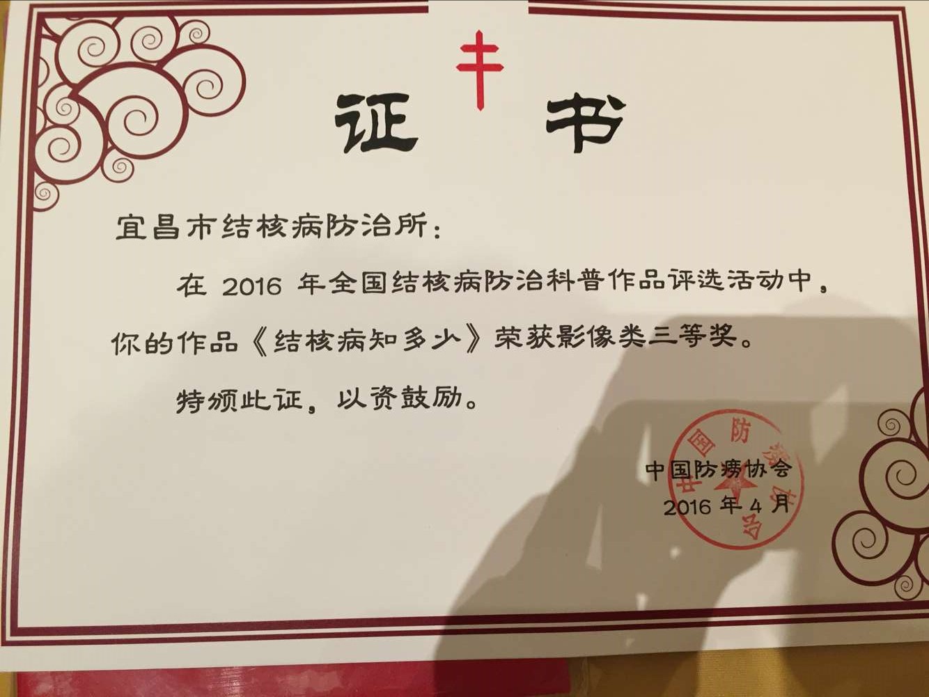 宜昌防結核動畫